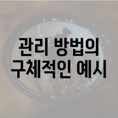 관리 방법의 구체적인 예시