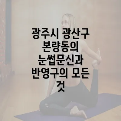 광주시 광산구 본량동의 눈썹문신과 반영구의 모든 것