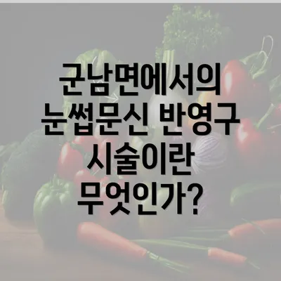 군남면에서의 눈썹문신 반영구 시술이란 무엇인가?