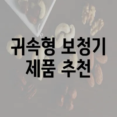 귀속형 보청기 제품 추천