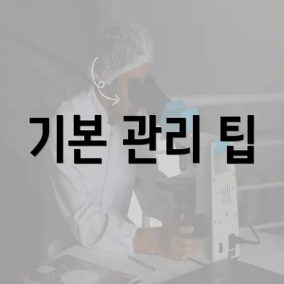 기본 관리 팁