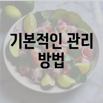 기본적인 관리 방법