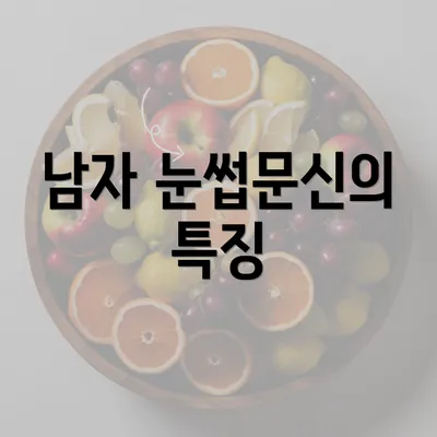 남자 눈썹문신의 특징