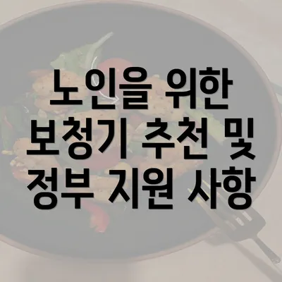 노인을 위한 보청기 추천 및 정부 지원 사항