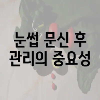 눈썹 문신 후 관리의 중요성