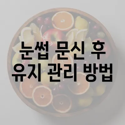 눈썹 문신 후 유지 관리 방법