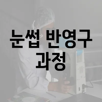 눈썹 반영구 과정