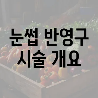 눈썹 반영구 시술 개요