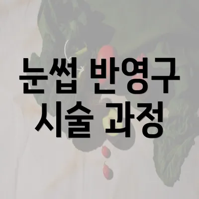 눈썹 반영구 시술 과정