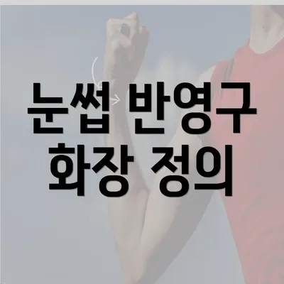 눈썹 반영구 화장 정의