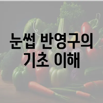 눈썹 반영구의 기초 이해