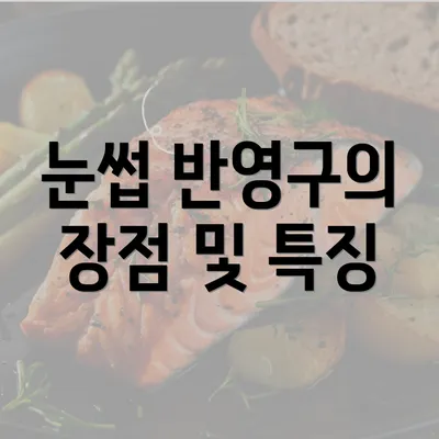 눈썹 반영구의 장점 및 특징