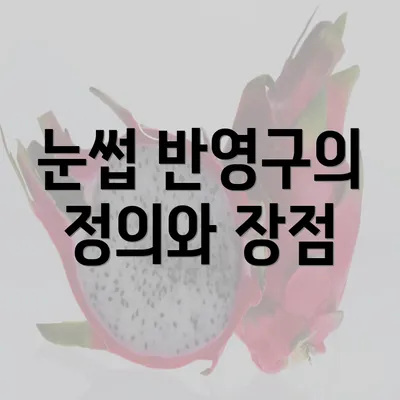 눈썹 반영구의 정의와 장점