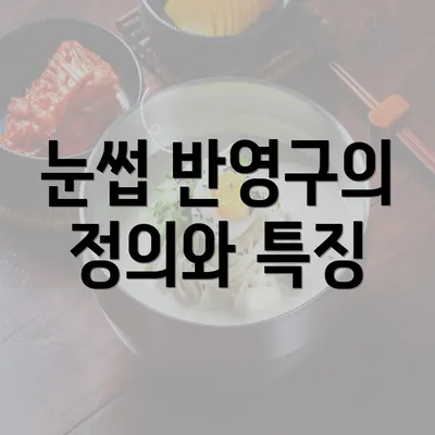 눈썹 반영구의 정의와 특징