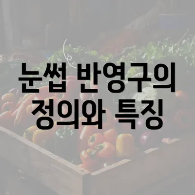 눈썹 반영구의 정의와 특징