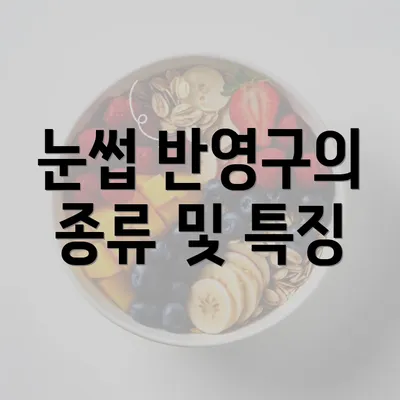 눈썹 반영구의 종류 및 특징