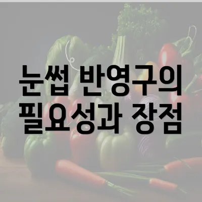 눈썹 반영구의 필요성과 장점