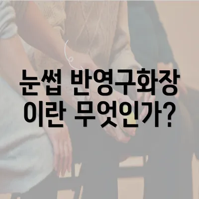 눈썹 반영구화장 이란 무엇인가?