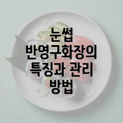 눈썹 반영구화장의 특징과 관리 방법