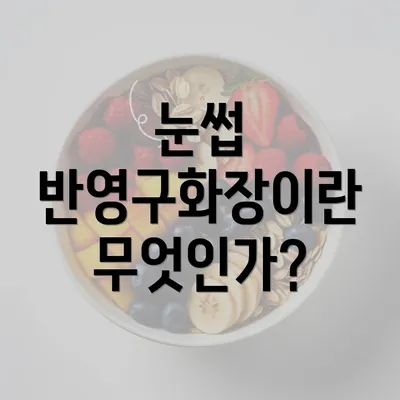 눈썹 반영구화장이란 무엇인가?