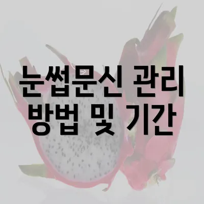 눈썹문신 관리 방법 및 기간