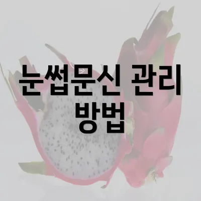 눈썹문신 관리 방법