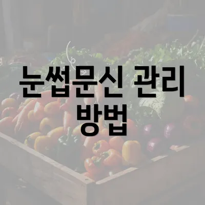 눈썹문신 관리 방법