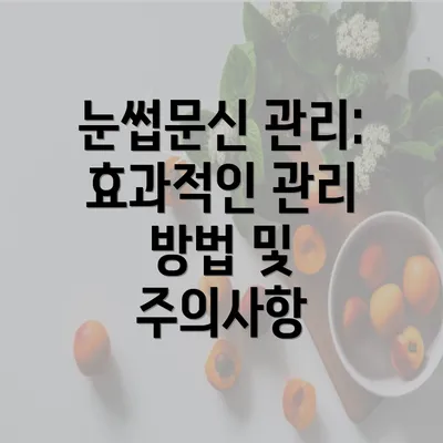 눈썹문신 관리: 효과적인 관리 방법 및 주의사항