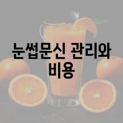 눈썹문신 관리와 비용