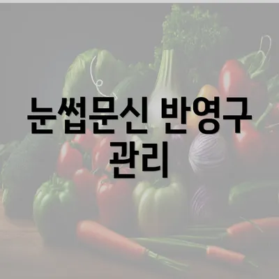 눈썹문신 반영구 관리