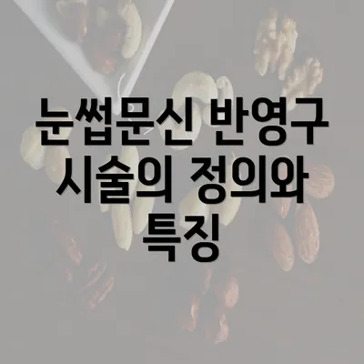 눈썹문신 반영구 시술의 정의와 특징