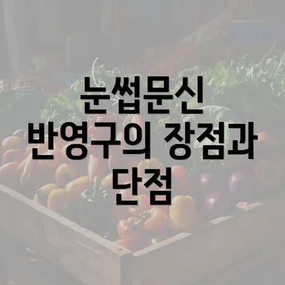 눈썹문신 반영구의 장점과 단점