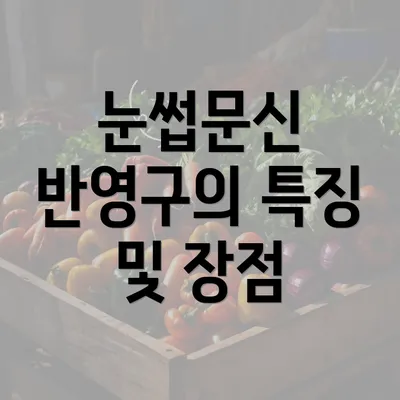 눈썹문신 반영구의 특징 및 장점