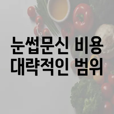 눈썹문신 비용 대략적인 범위