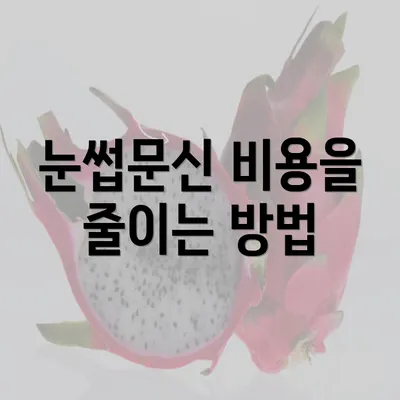 눈썹문신 비용을 줄이는 방법