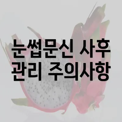 눈썹문신 사후 관리 주의사항