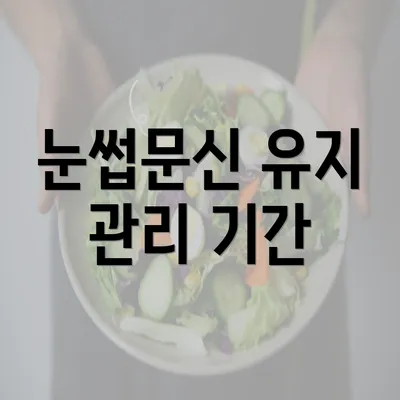 눈썹문신 유지 관리 기간