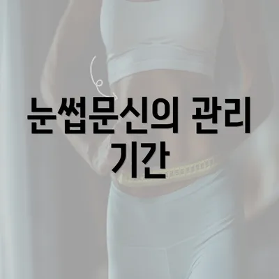 눈썹문신의 관리 기간