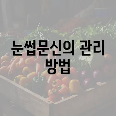 눈썹문신의 관리 방법