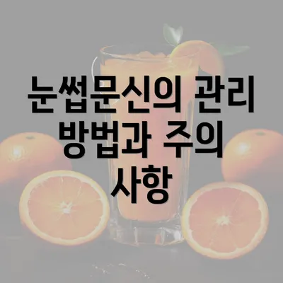 눈썹문신의 관리 방법과 주의 사항