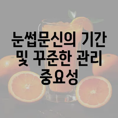 눈썹문신의 기간 및 꾸준한 관리 중요성