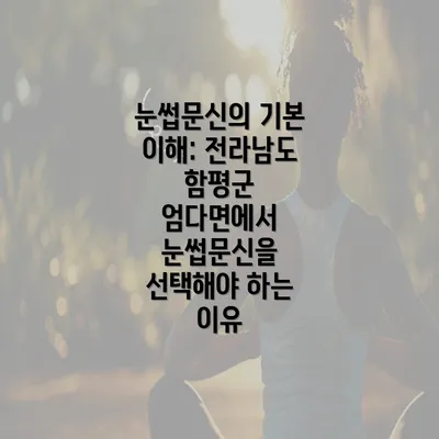 눈썹문신의 기본 이해: 전라남도 함평군 엄다면에서 눈썹문신을 선택해야 하는 이유