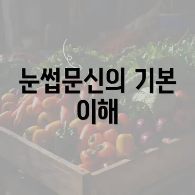 눈썹문신의 기본 이해