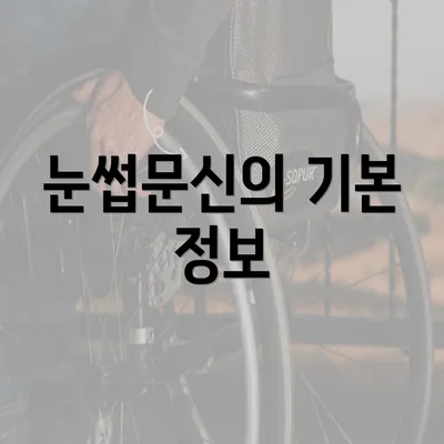 눈썹문신의 기본 정보