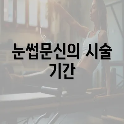 눈썹문신의 시술 기간