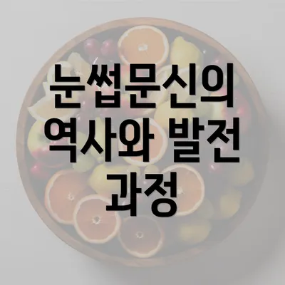 눈썹문신의 역사와 발전 과정