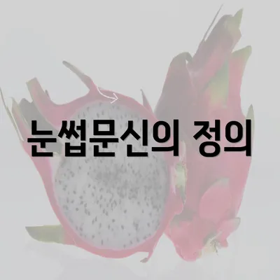 눈썹문신의 정의