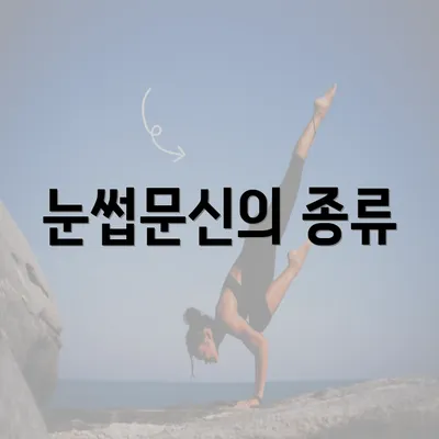 눈썹문신의 종류