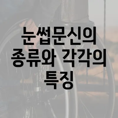 눈썹문신의 종류와 각각의 특징