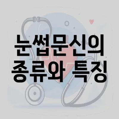 눈썹문신의 종류와 특징